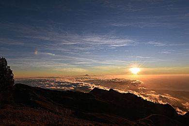 《阿玛拉王国：惩罚 重置版》更新 PS5支持原生4K分辨率